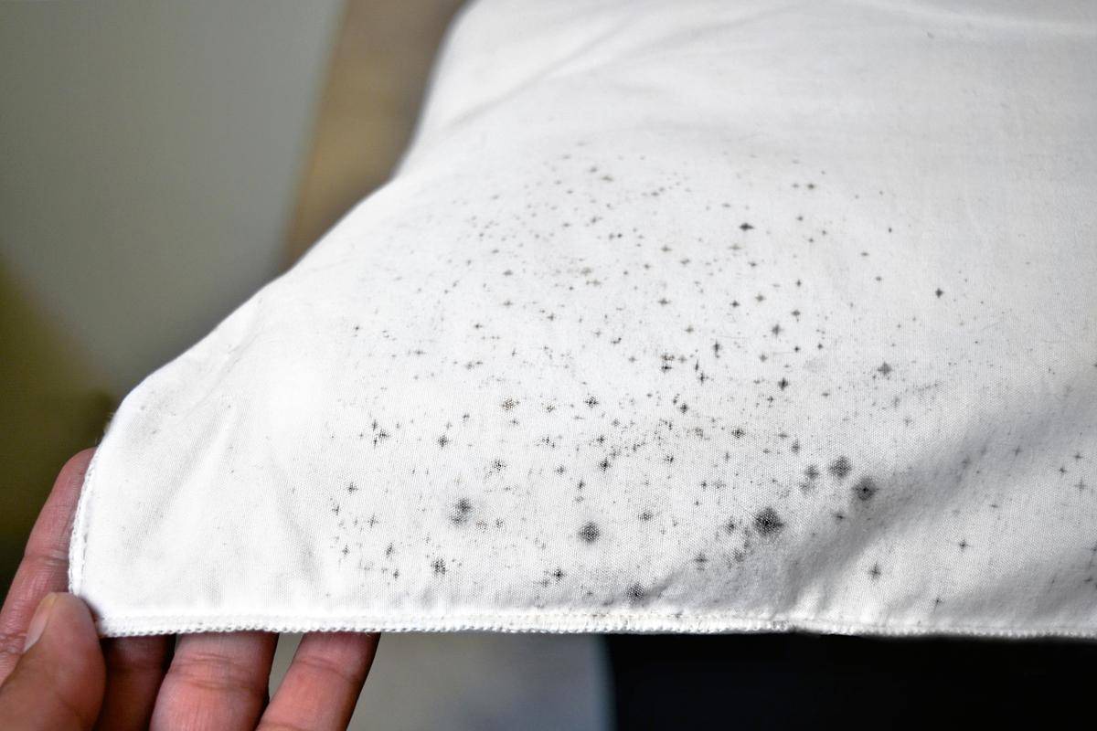 How to Get Rid of Mold on Clothes