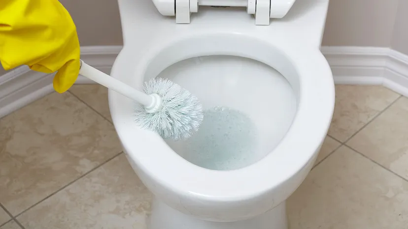 Useful Ways to Clean Toilet Bowl Stains