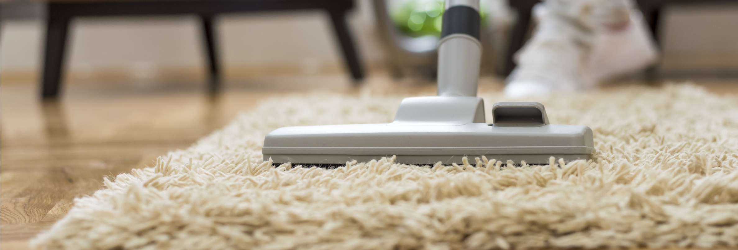 #1 Carpet Cleaning Services Dubai