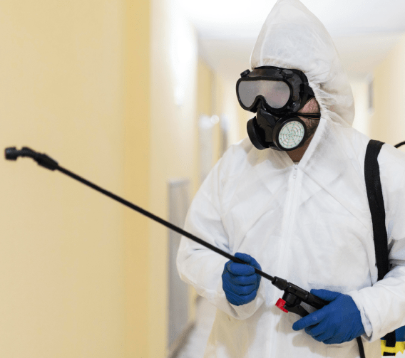 pest control