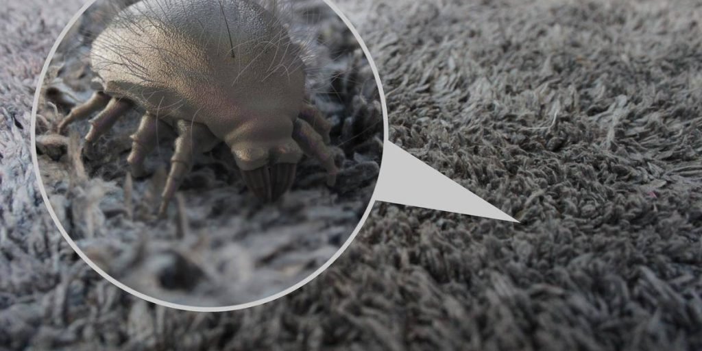 24 Easy Ways to Get Rid of Dust Mites and Get Allergy Relief