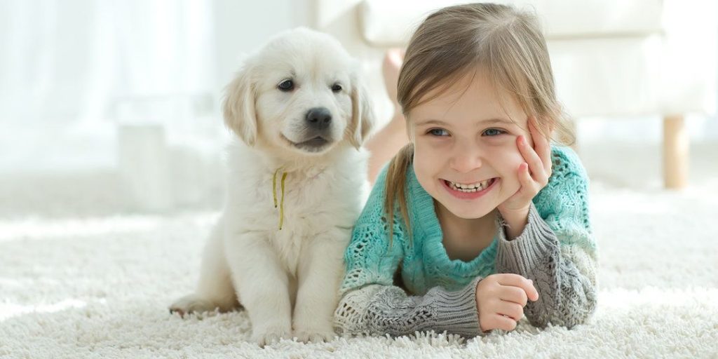 How Often Should You Clean Your Carpet With Pets 20 How Often Should You Clean Your Carpet With Pets