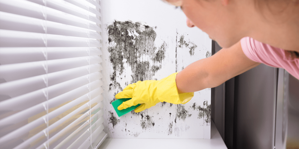 The Best Ways to Clean Mould in Dubai